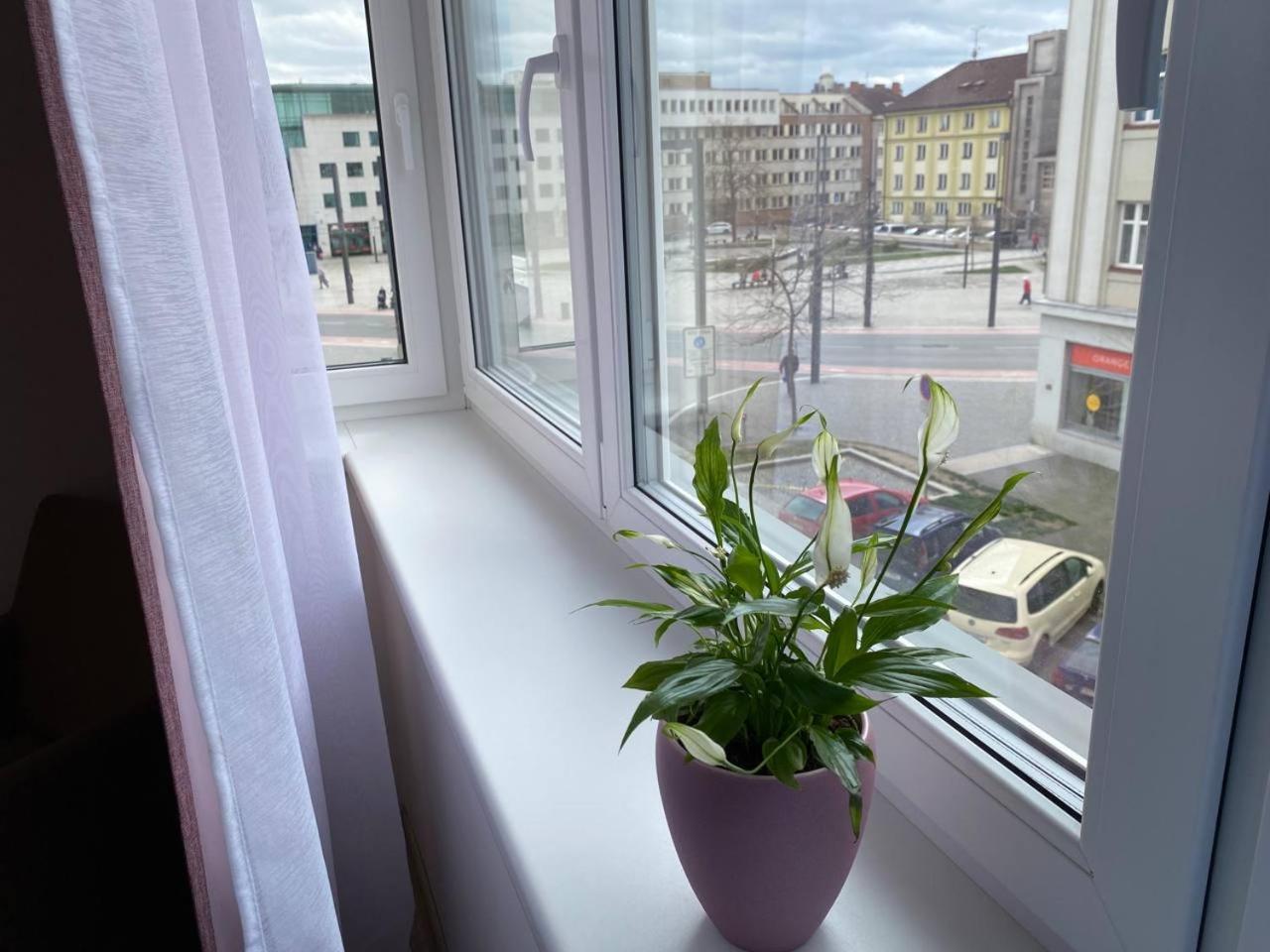 Appartamento Perla Hradce 202 Hradec Králové Esterno foto